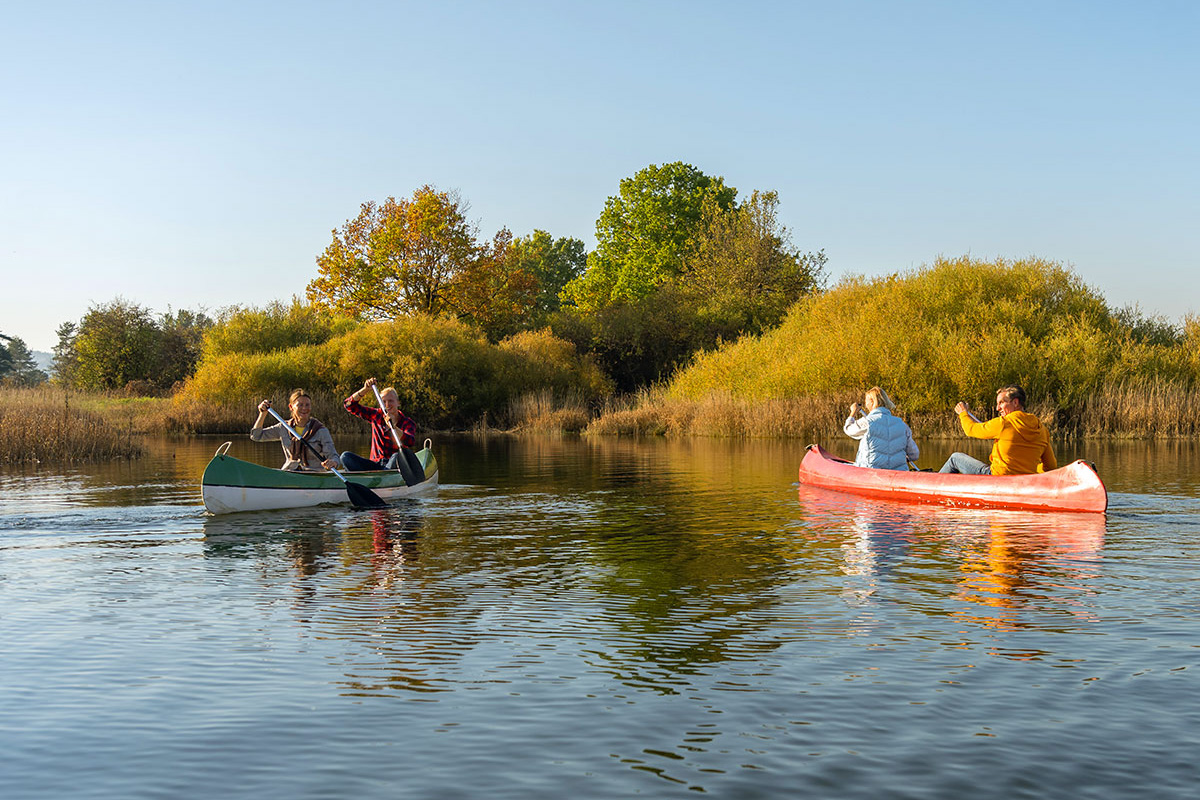 Kanotocht (3 uur) op de Maas
