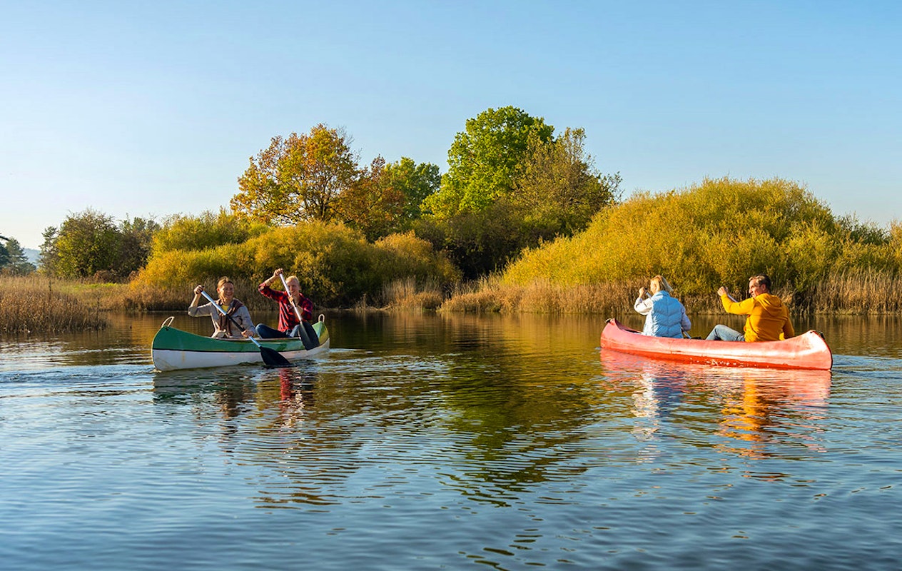 Kanotocht (3 uur) op de Maas