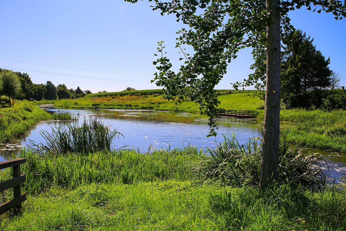 Kanotocht (3 uur) op de Maas