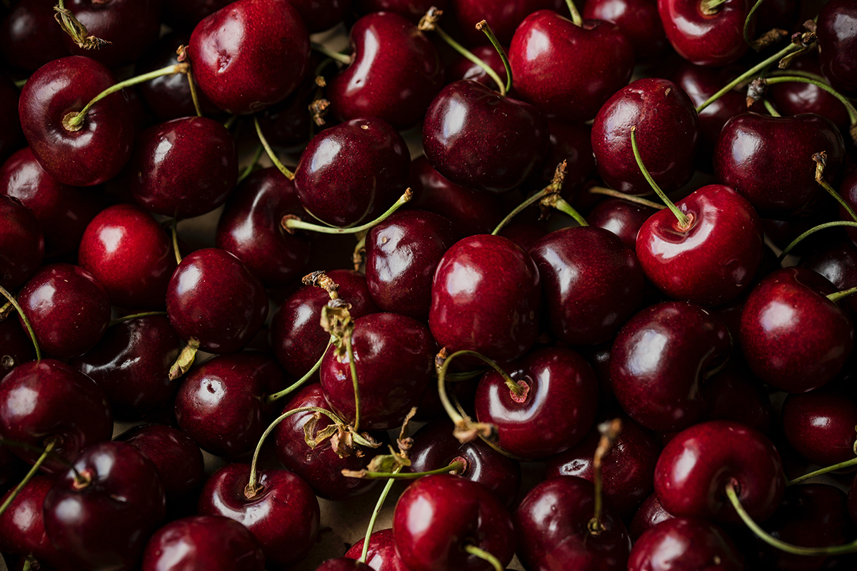 Kersen plukken bij Streeckerij de Betuwe