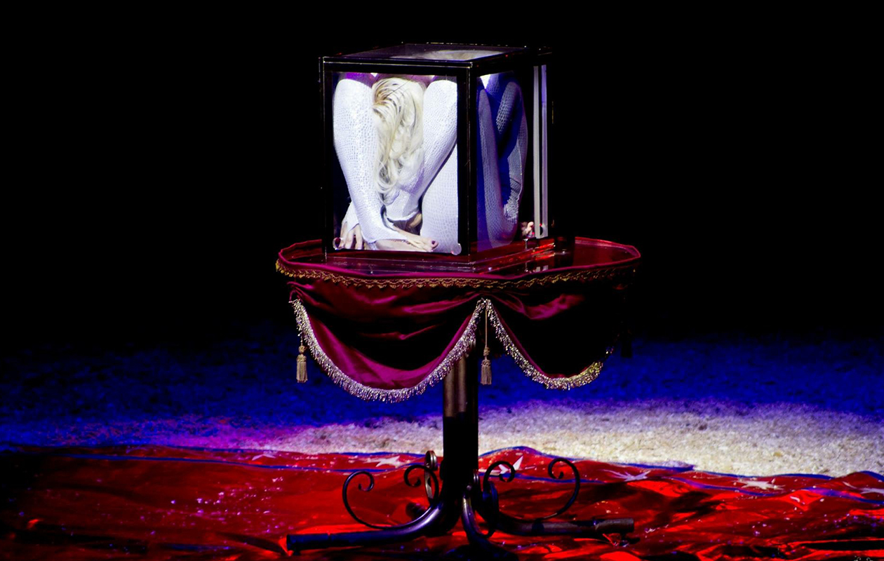 Geniet van een adembenemende voorstelling bij Kerstcircus Haarlem