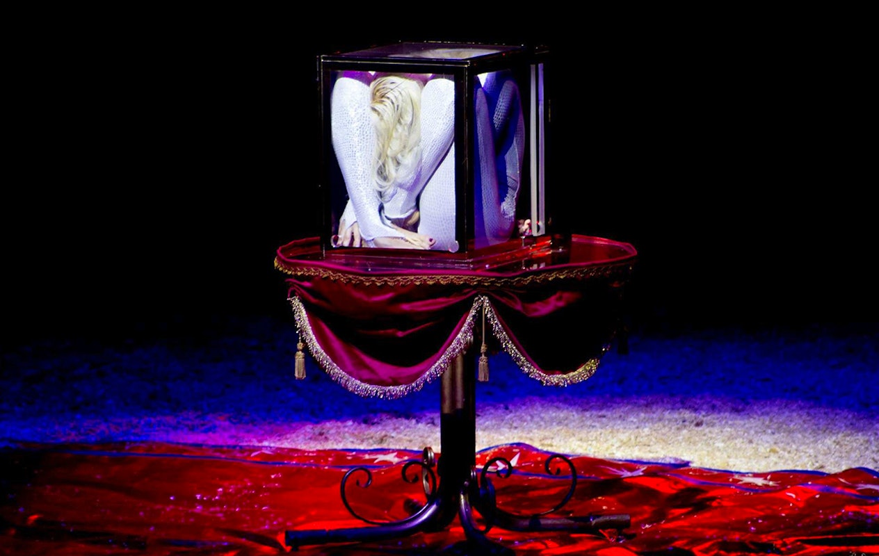 Geniet van een adembenemende voorstelling bij Kerstcircus Haarlem