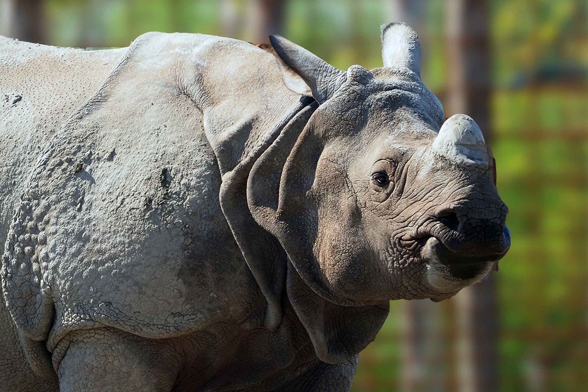 Kinderticket Eindhoven Zoo