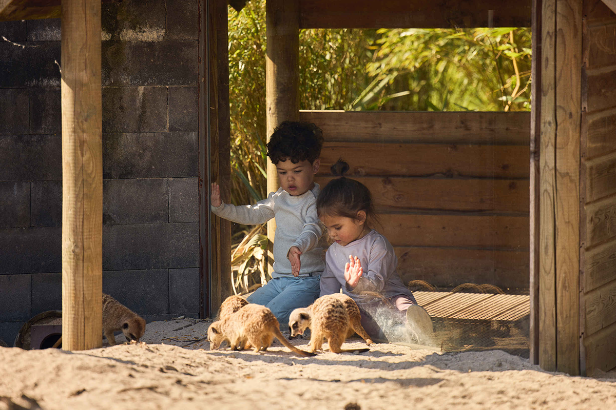 Kinderticket Eindhoven Zoo