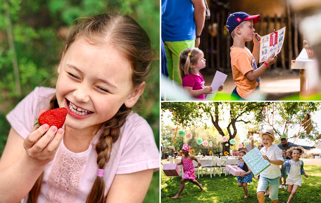 Kinderfeestje Aardbeienland