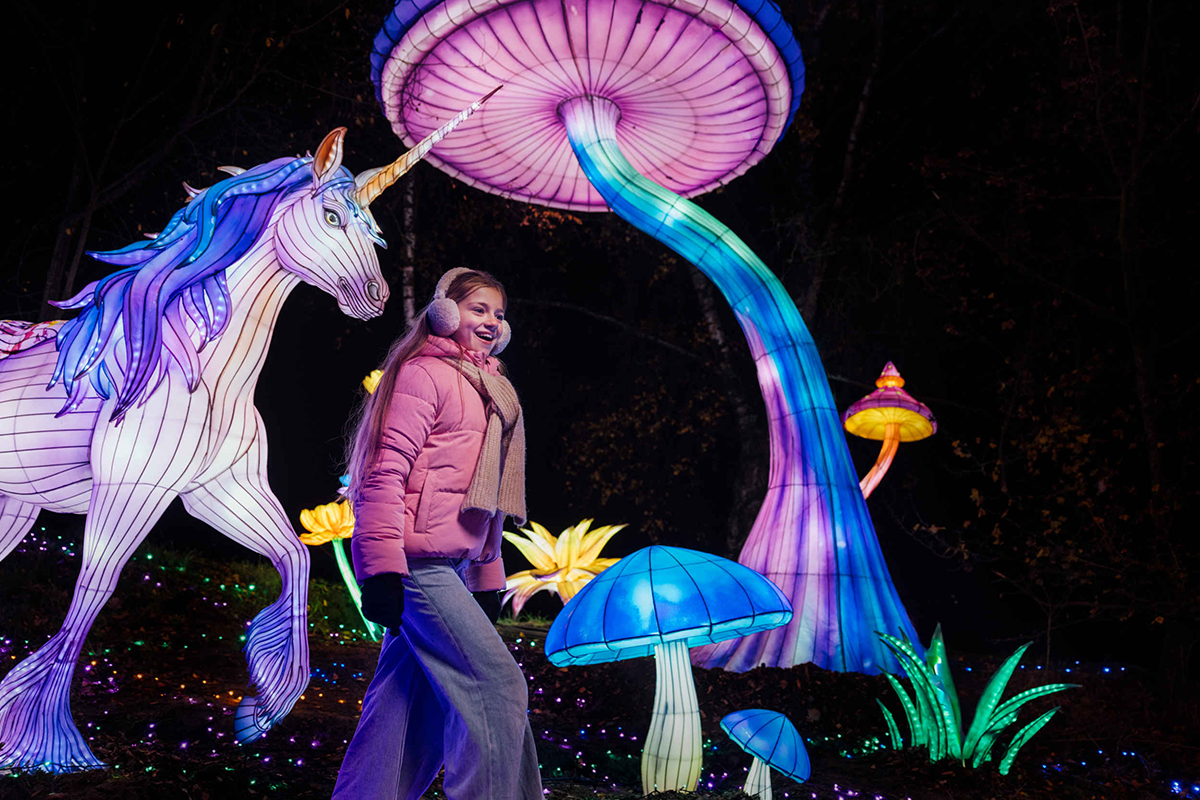 Kinderticket Light Safari Beekse Bergen