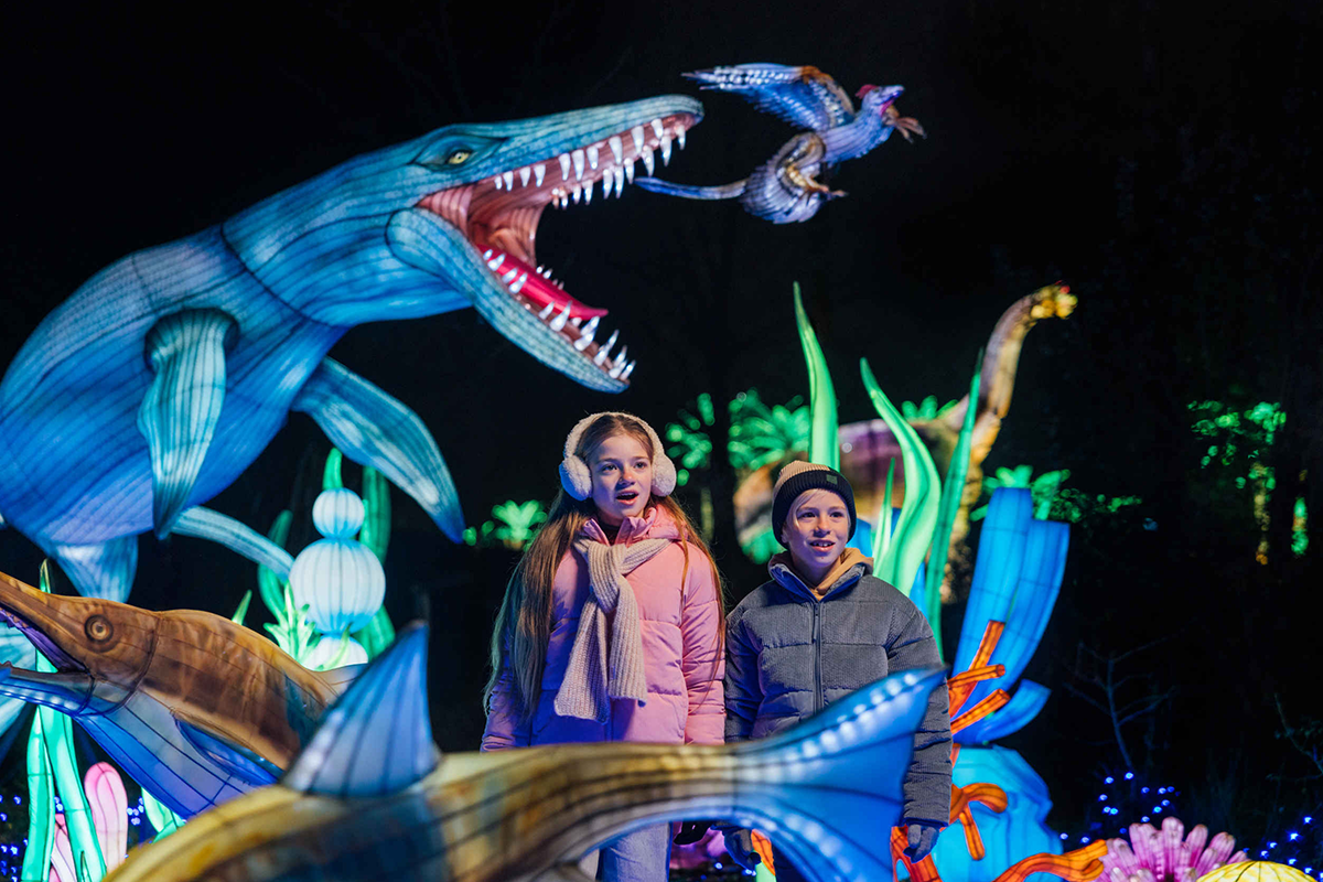 Kinderticket Light Safari Beekse Bergen