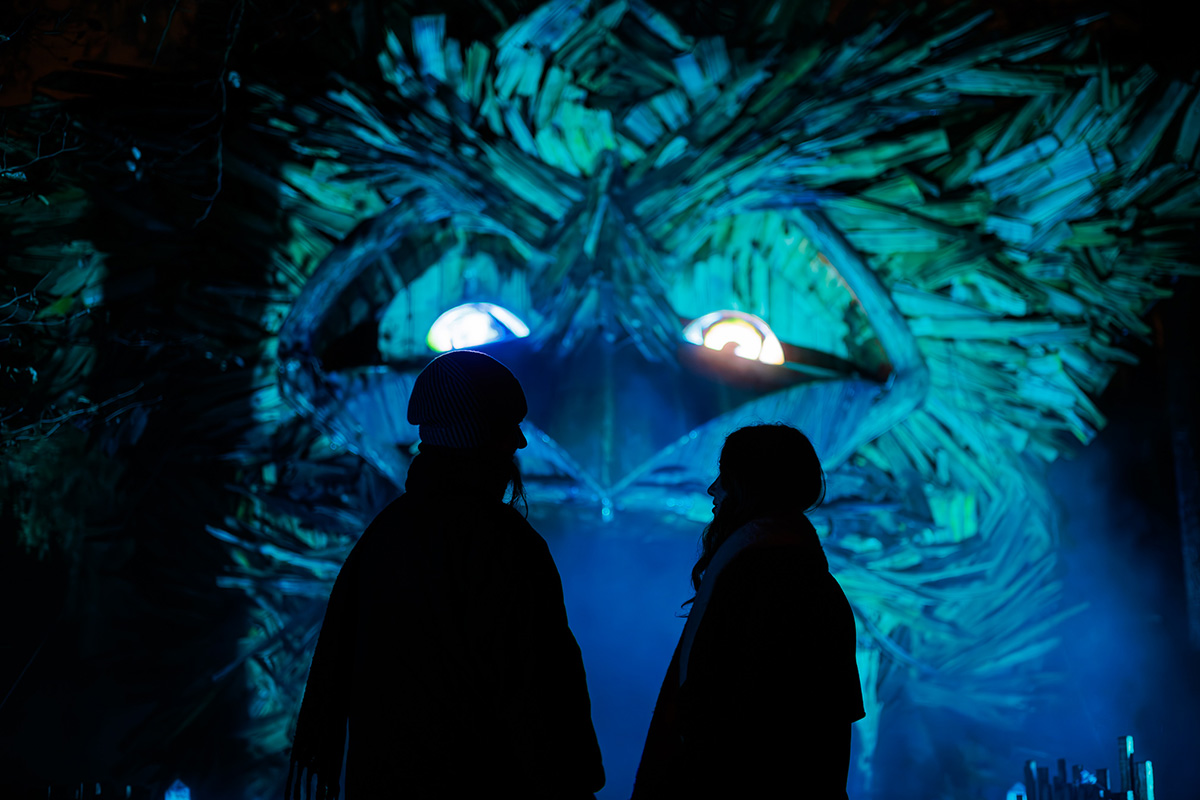 Volwassene ticket Winterheul 