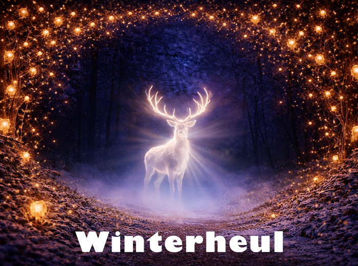 Volwassene ticket Winterheul 