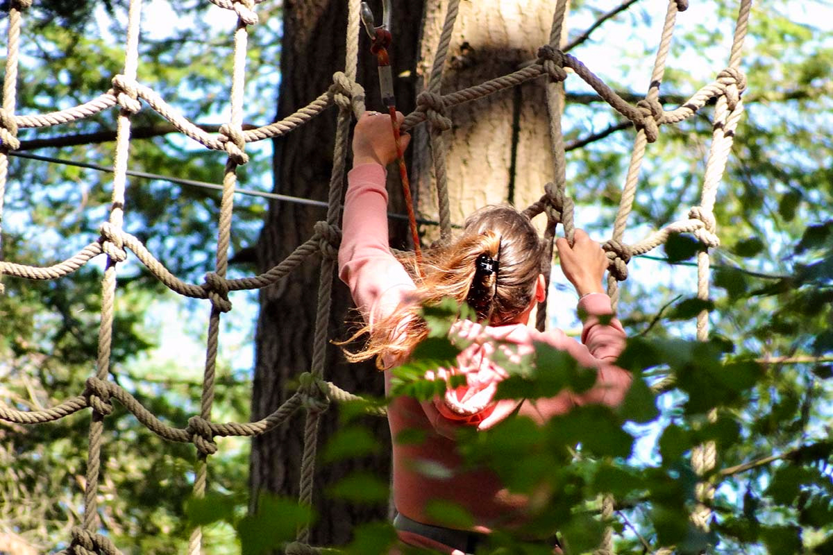 Regulier ticket Klimbos Bergen op Zoom