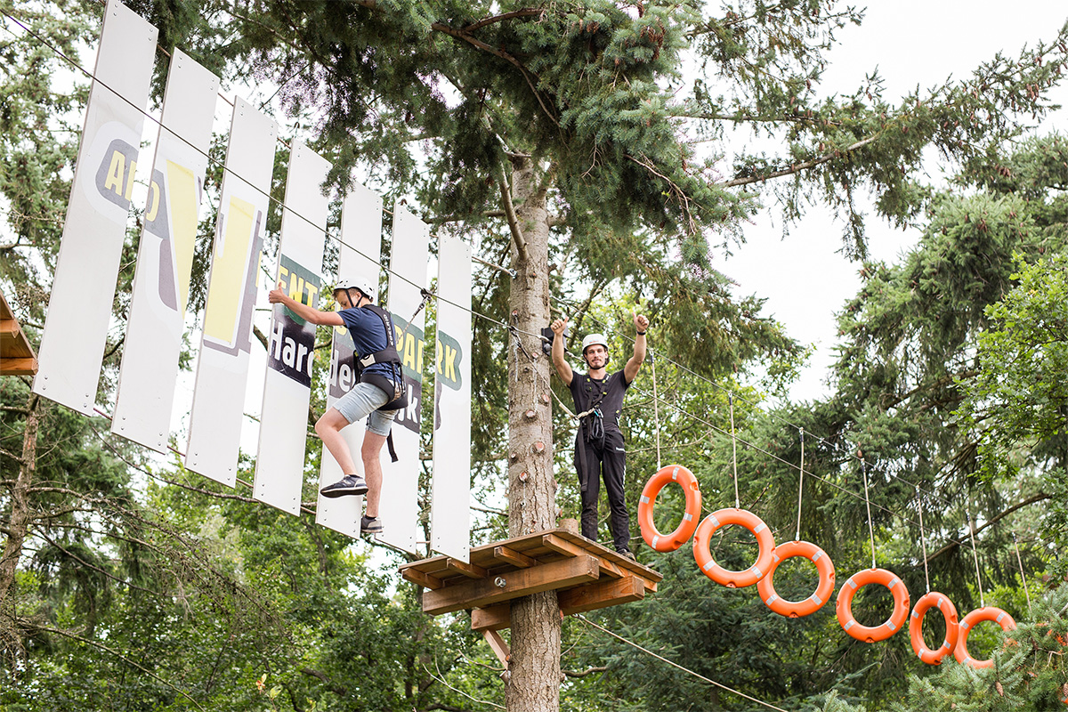  2,5 uur klimmen bij Klimbos Harderwijk incl. Free Fall