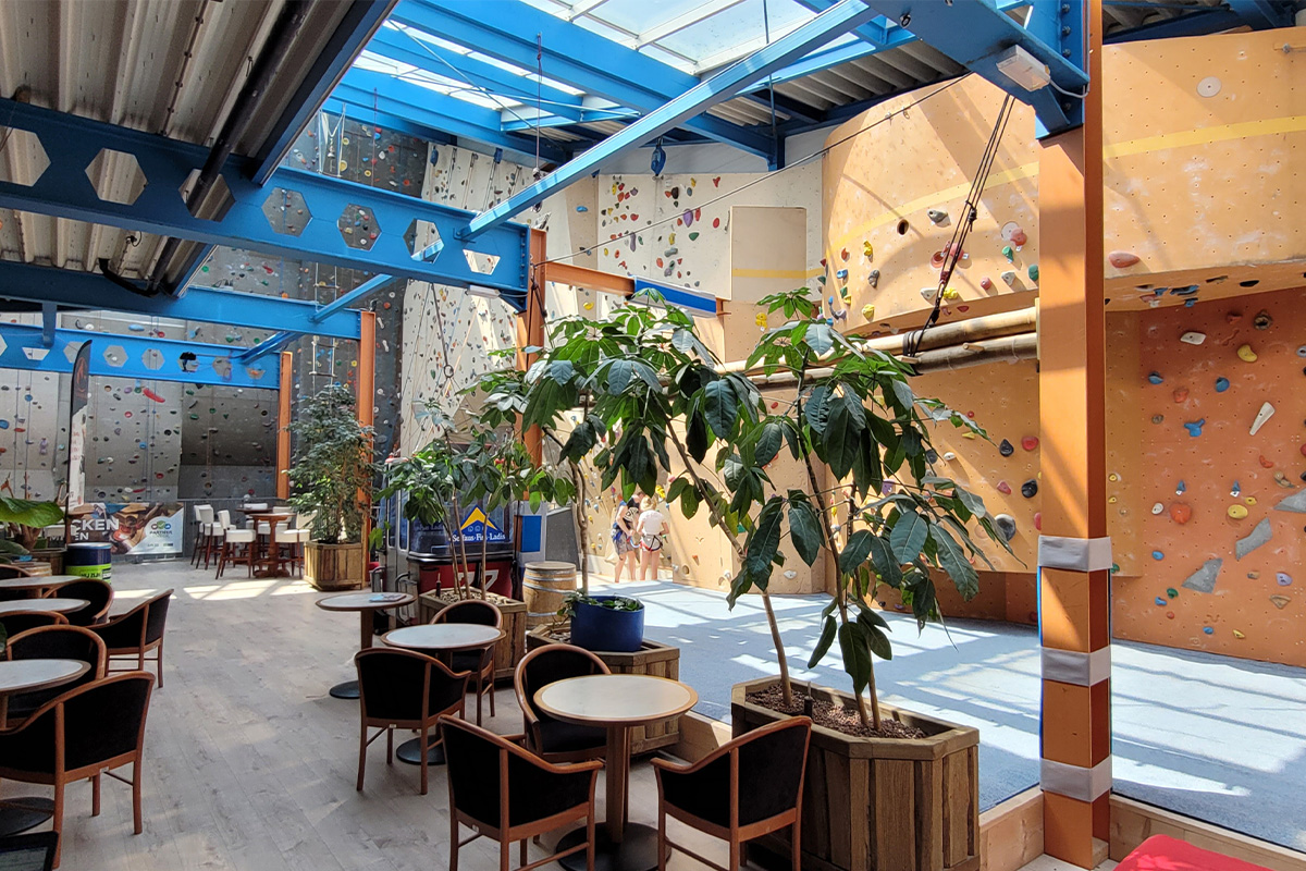 2 uur klimmen & boulderen + schoenen + gordel bij De Broekerberg