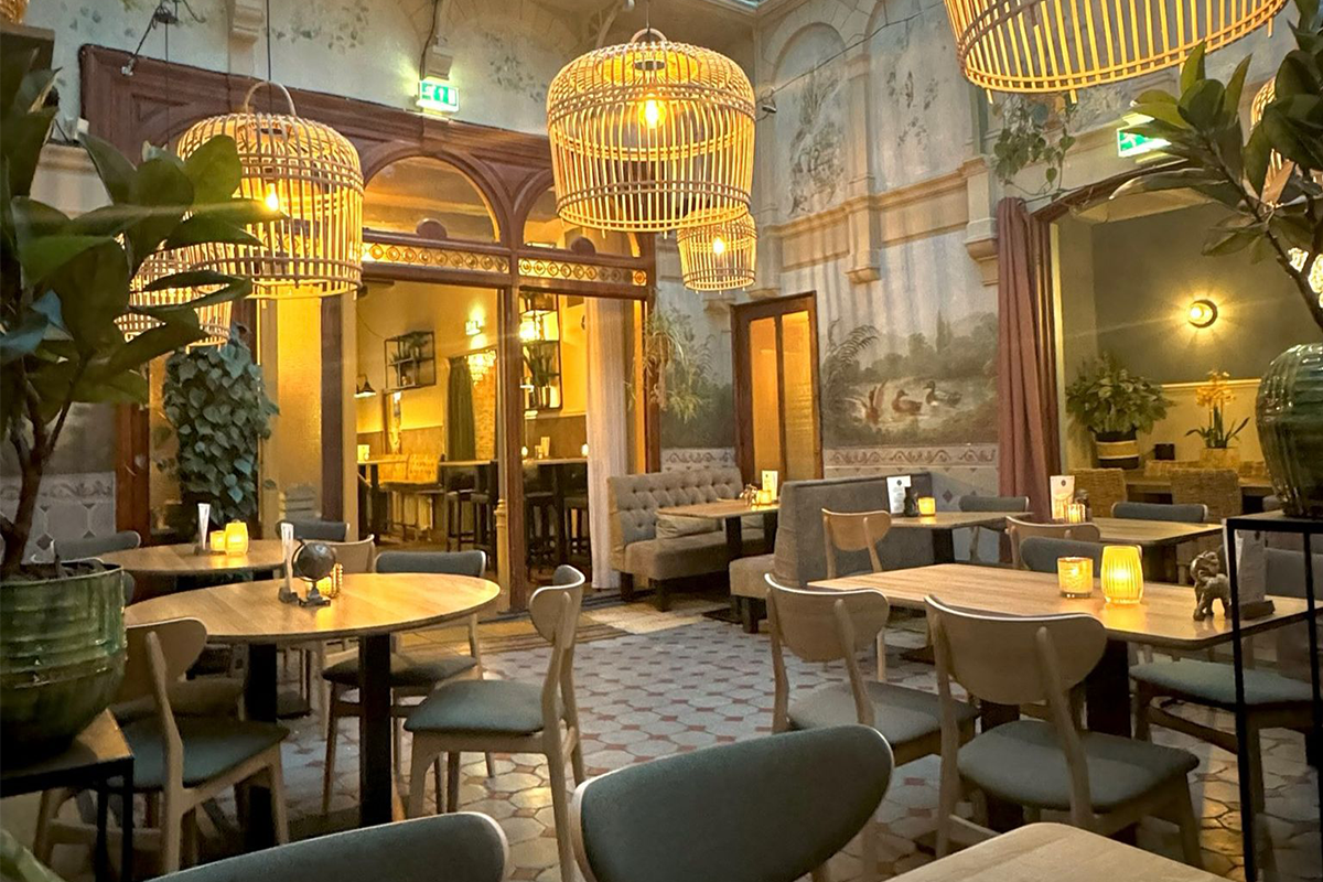 Koffie of thee + gebak naar keuze bij Ridderikhoff