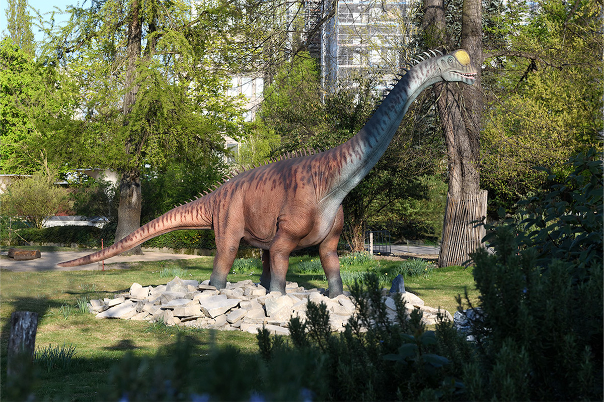 Entreeticket Kölner Zoo + DinoWorld incl. stickerboek