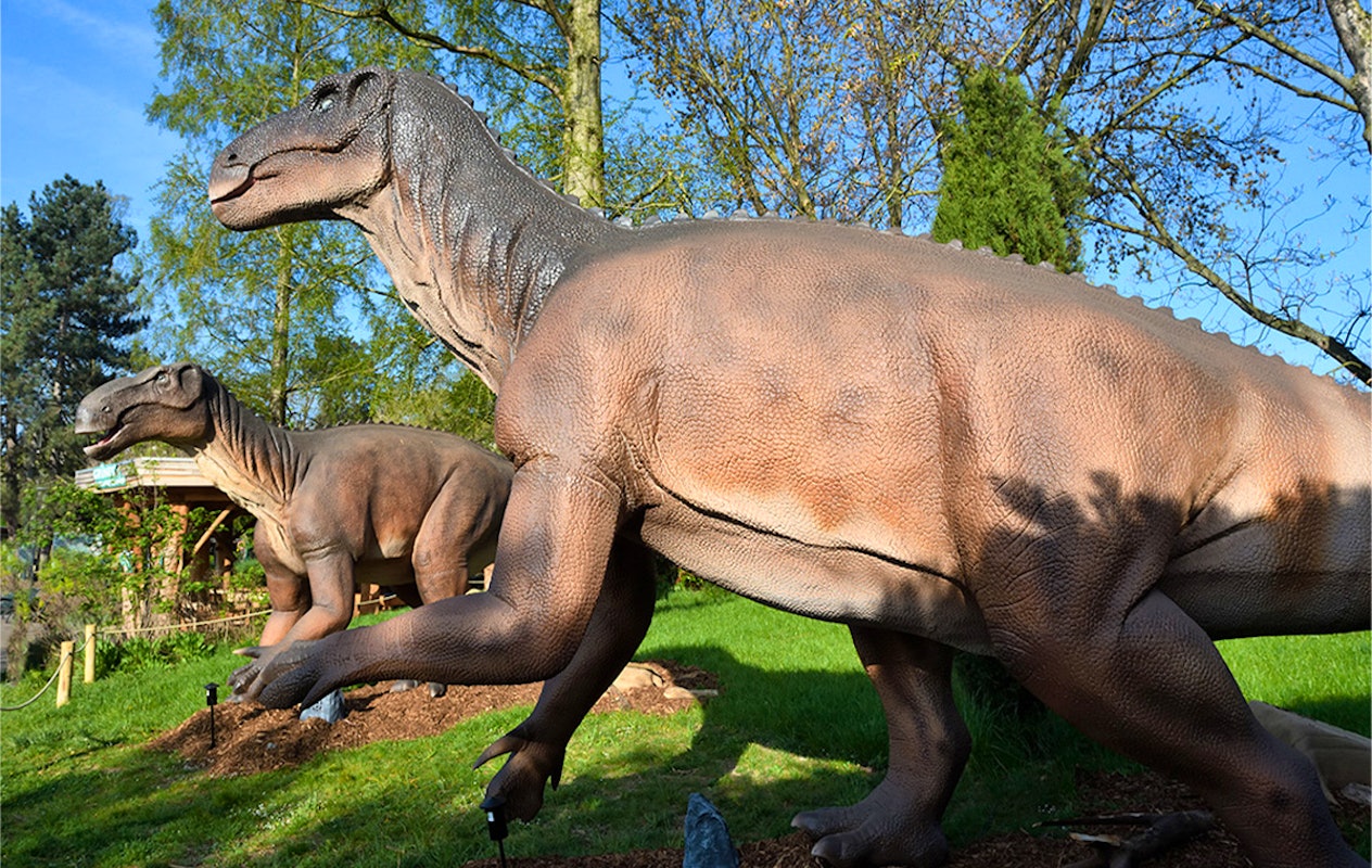 Entreeticket Kölner Zoo + DinoWorld incl. stickerboek