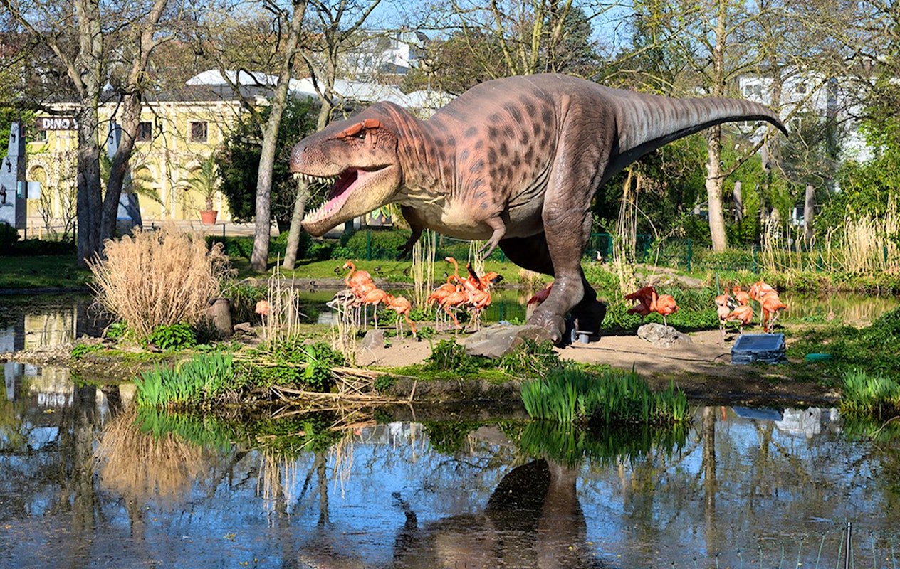 Entreeticket Kölner Zoo + DinoWorld incl. stickerboek