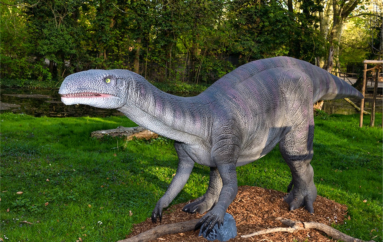 Entreeticket Kölner Zoo + DinoWorld incl. stickerboek