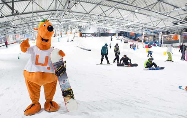 Indoor skiën of snowboarden bij de gezelligste sneeuwbaan van Nederland! 