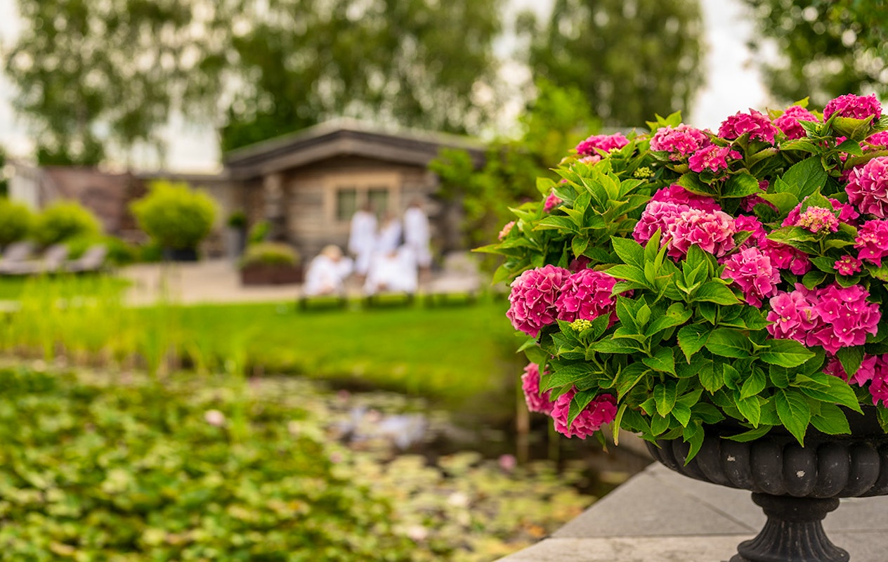 Dagentree, ochtend- of avondentree bij Wellnessresort De Waterlelie