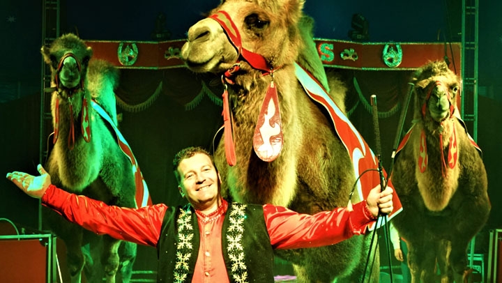 Laat je betoveren bij het Brabants Wintercircus! 