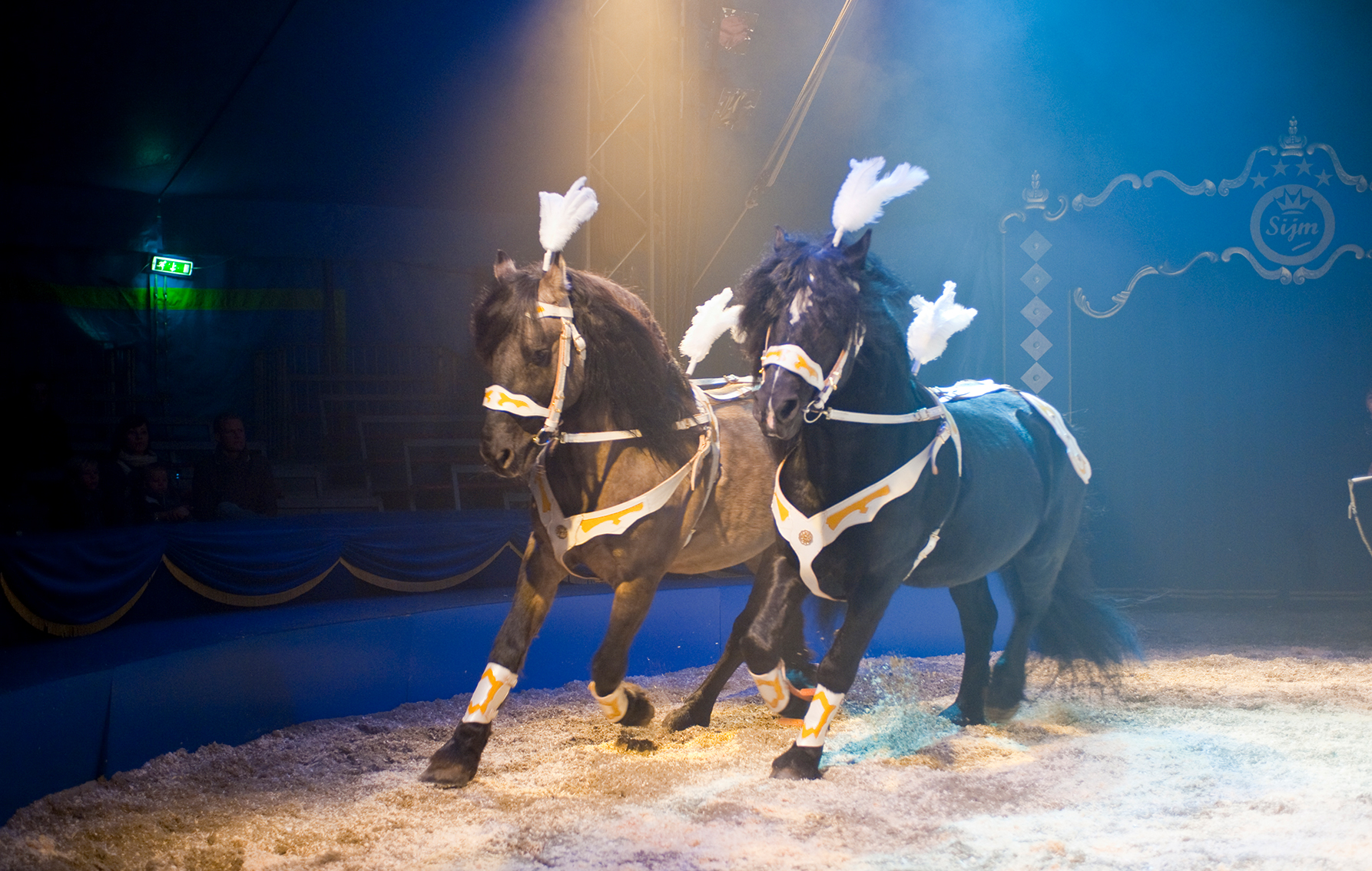Laat je verrassen bij het spectaculaire Circus Sijm! 