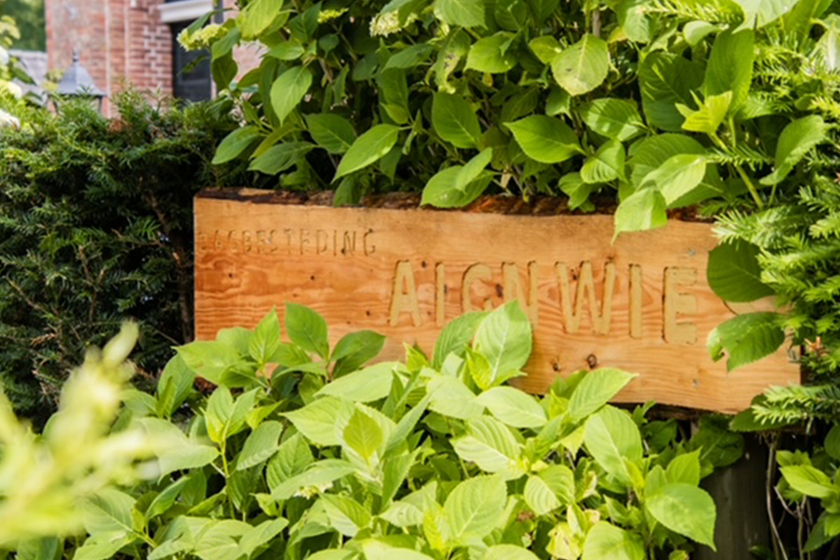 Luxe high tea bij Koffie en Theehuisje Aignwies