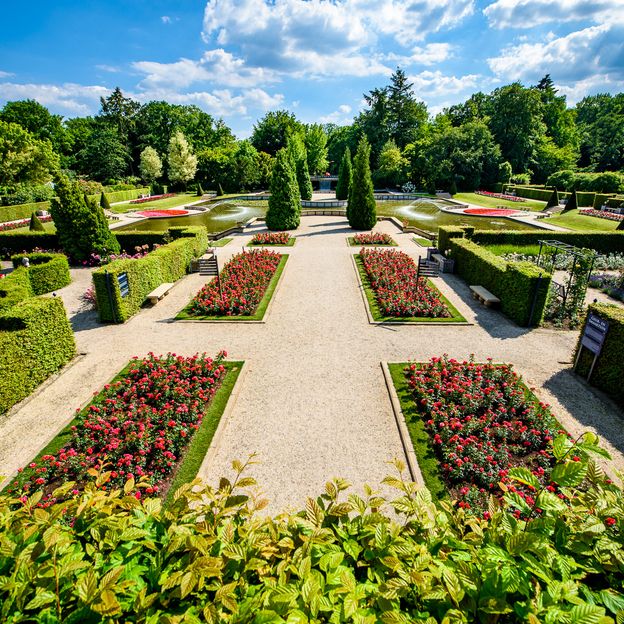 Ontdek de schoonheid van de natuur in het prachtige Noord Limburg | incl. diner