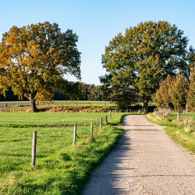 Ontdek de charme van Twente | incl. 3-gangendiner