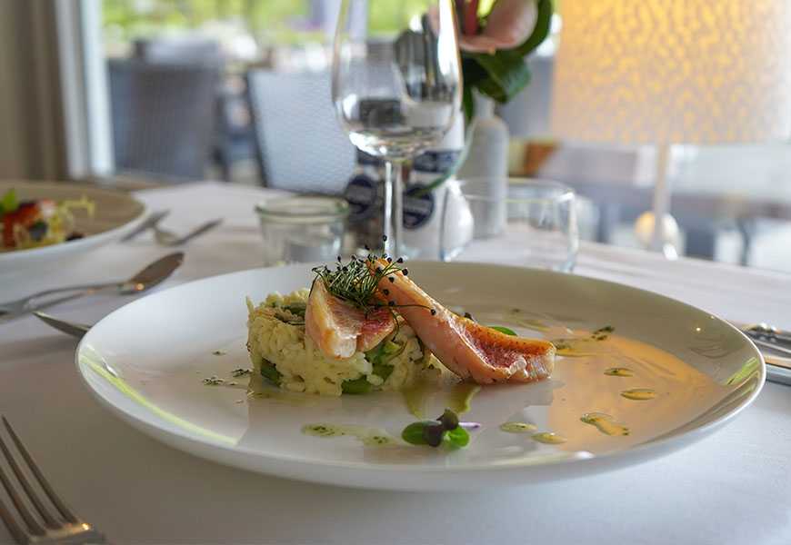 Overnacht in een 4* hotel midden in de bossen van Twente | incl. diner