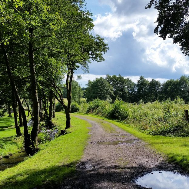 Geniet van rust en een prachtige omgeving in de Belgische Ardennen | incl. 2-gangendiner