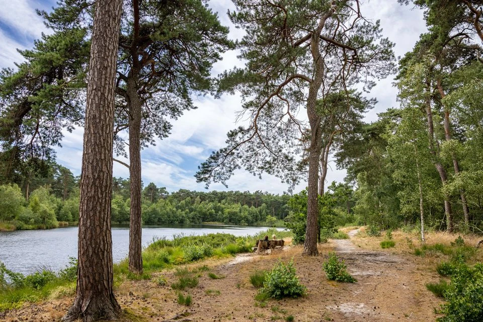 Geniet op een prachtig landgoed in schilderachtige omgeving | incl. 2-gangendiner