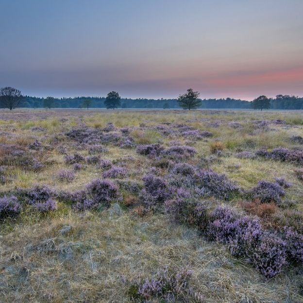 Ontdek het mooiste van Drenthe in 3 dagen | incl. diner