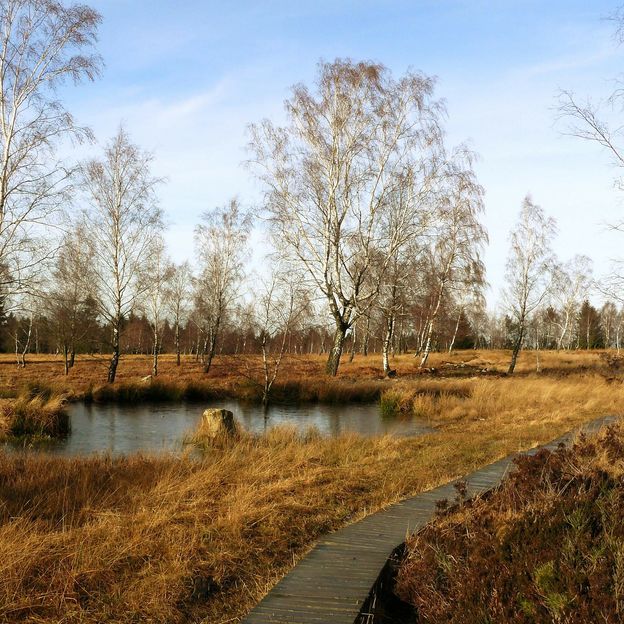 Geniet op een prachtig landgoed in schilderachtige omgeving | incl. 2-gangendiner