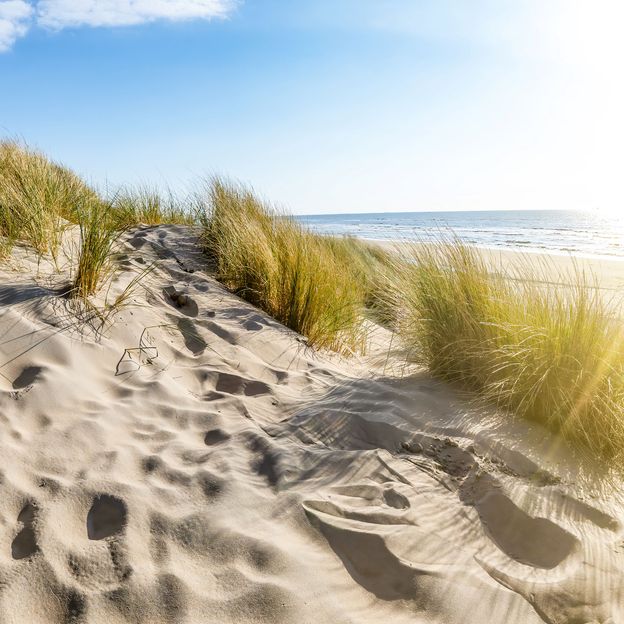 Verken en beleef Zandvoort en Haarlem | incl. diner