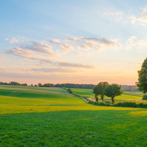 Ontdek Valkenburg's historische charme en prachtige natuur vanuit luxe 4* hotel