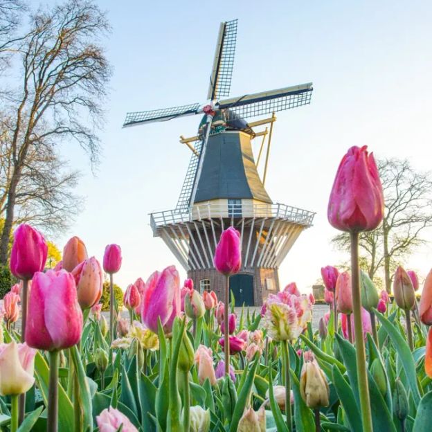 Verken en beleef Zandvoort en Haarlem | incl. diner