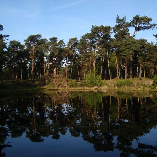 Verblijf op de Veluwe met directe toegang tot het bos | incl. 3-gangendiner