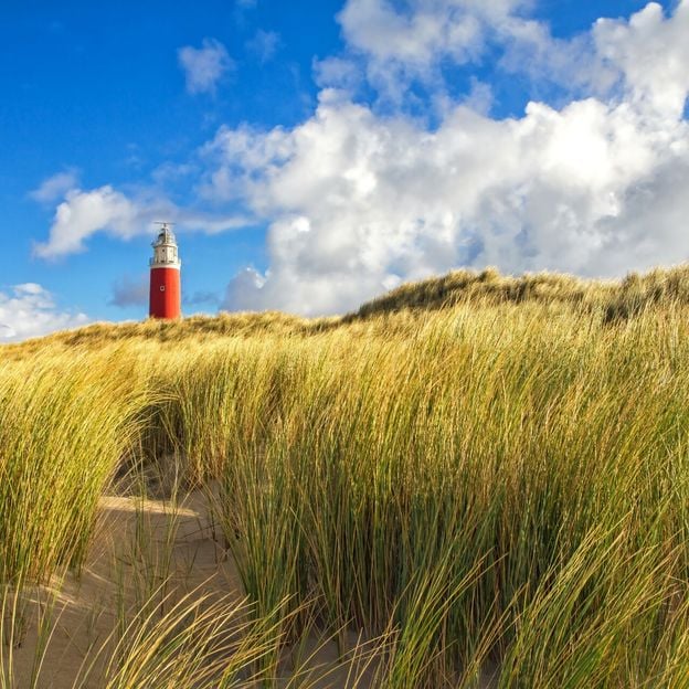 Geniet van Fine Dining & Wellness aan de Noordzee kust | incl. 4-gangendiner