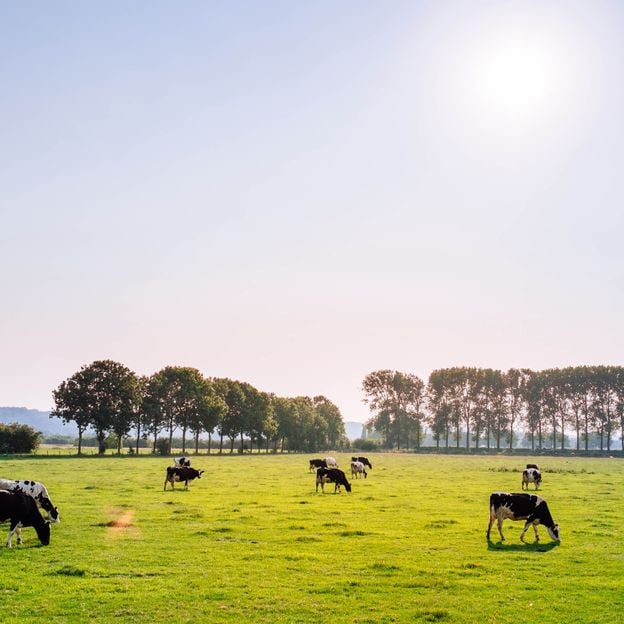 Overnacht in een van de mooiste stadsboerderijen van de Achterhoek