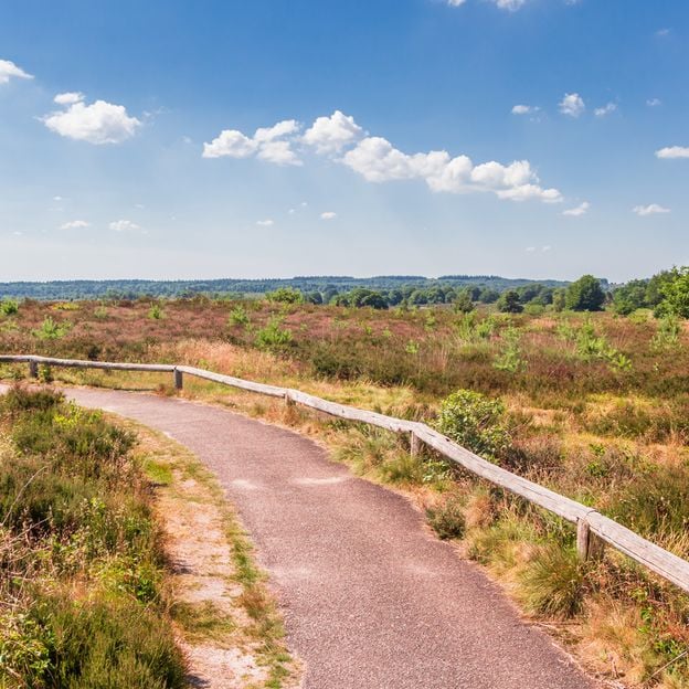 Verken de mooiste fietsroutes van Overijssel | Schilderachtige natuur en charmante Hanzesteden | incl. diner
