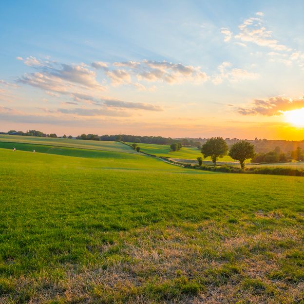Ontdek de schoonheid van de natuur in het prachtige Noord Limburg | incl. diner