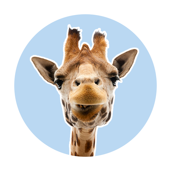 Dierentuin