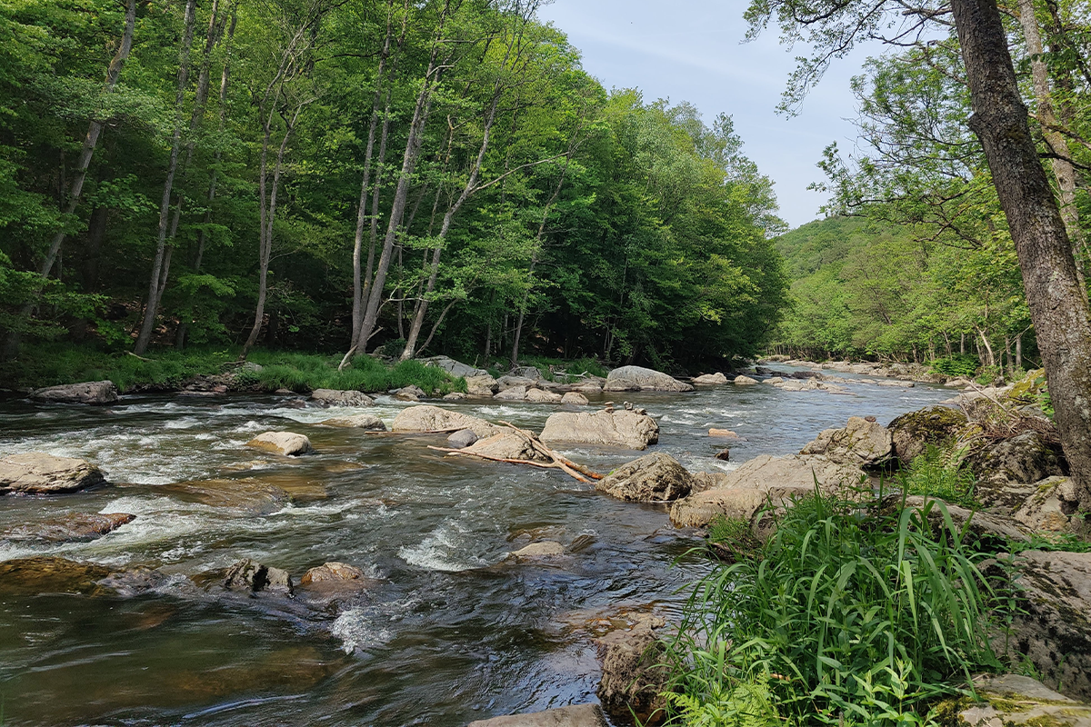 3, 4 of 7 nachten in een Safaritent in de Belgische Ardennen 