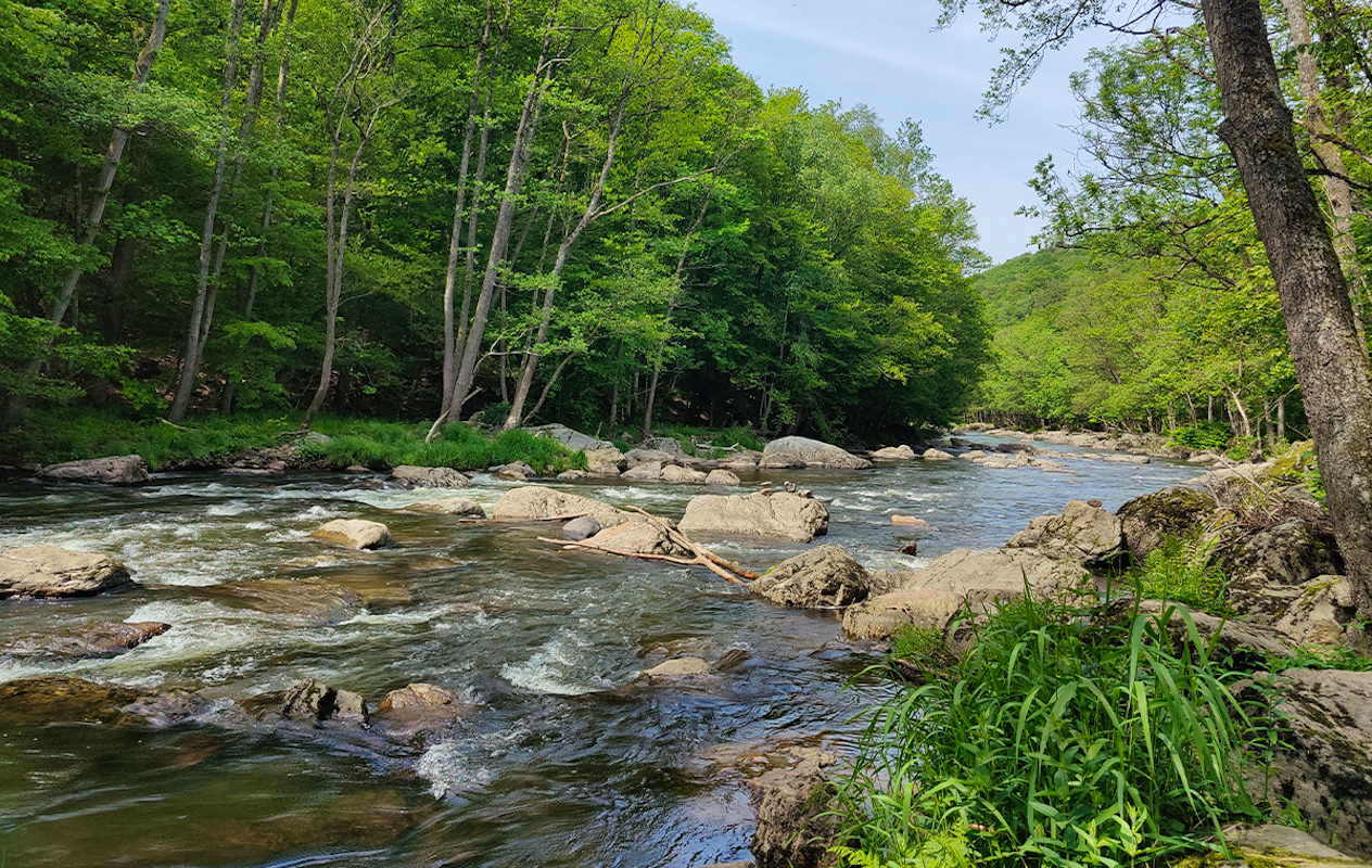 3, 4 of 7 nachten in een Safaritent in de Belgische Ardennen