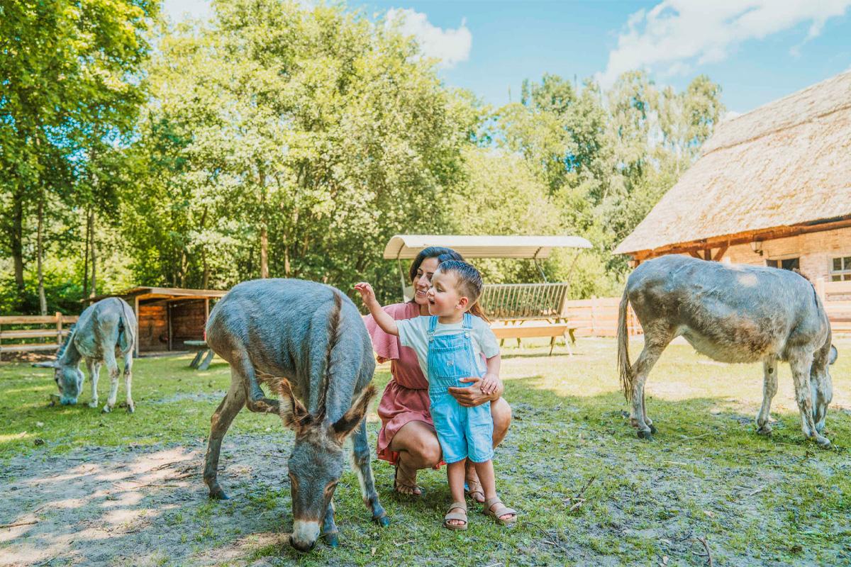Verblijf op Vakantiepark Dierenbos incl. vakanties en dagje uit naar keuze