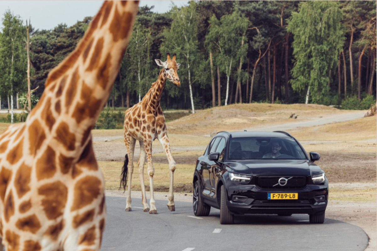 Verblijf op Vakantiepark Dierenbos incl. vakanties en dagje uit naar keuze