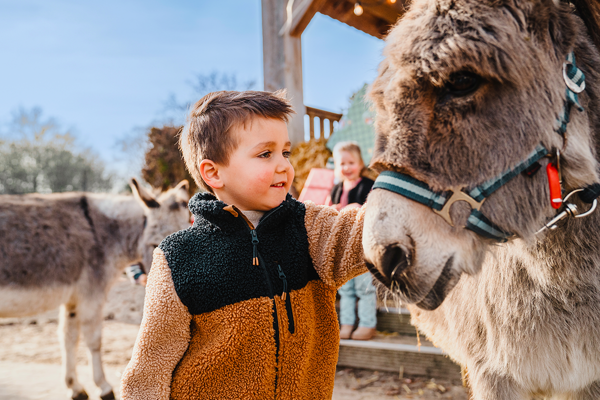 Verblijf op Vakantiepark Dierenbos incl. dagje uit naar keuze