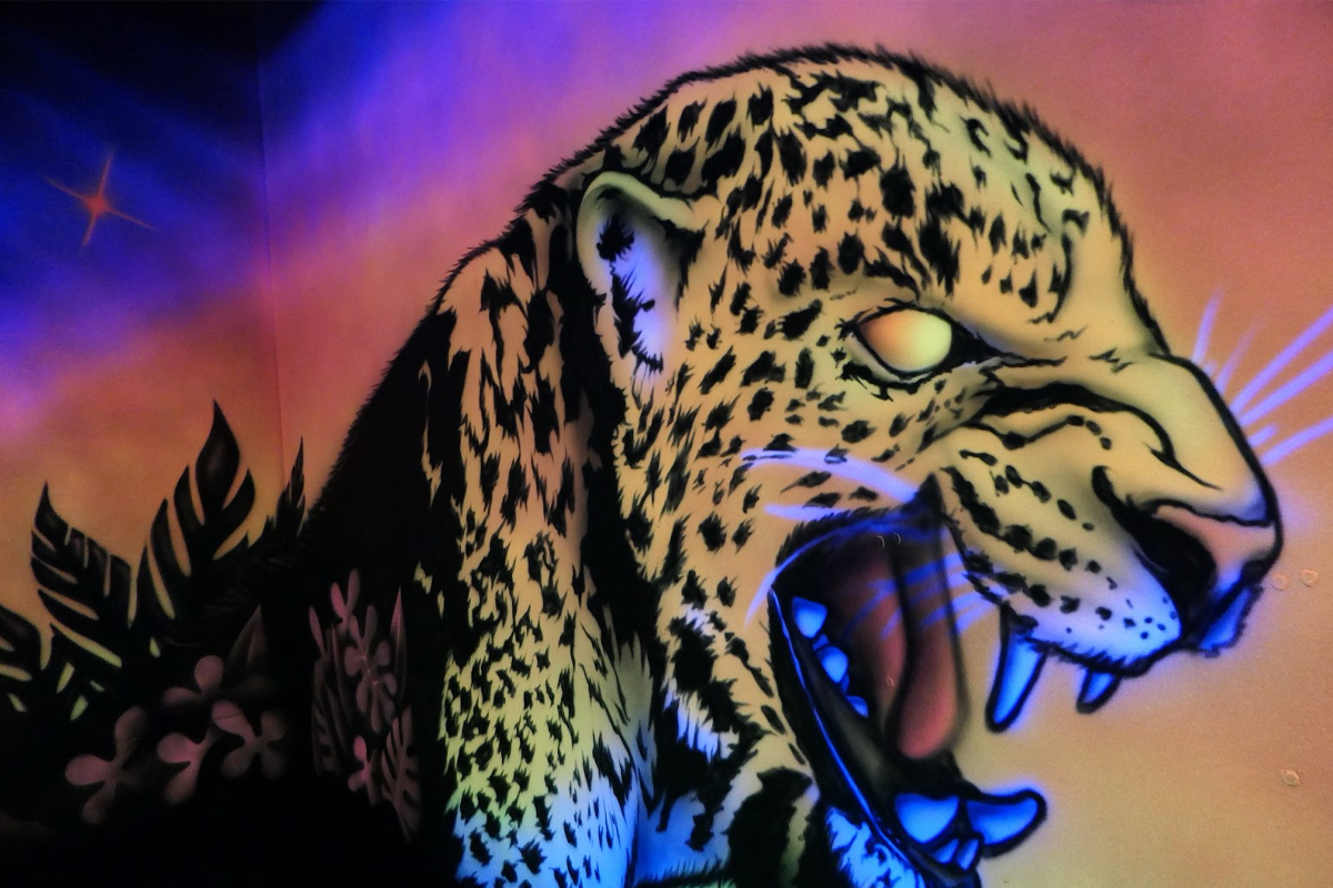 Glow in the Dark Minigolf bij Flash & Smash