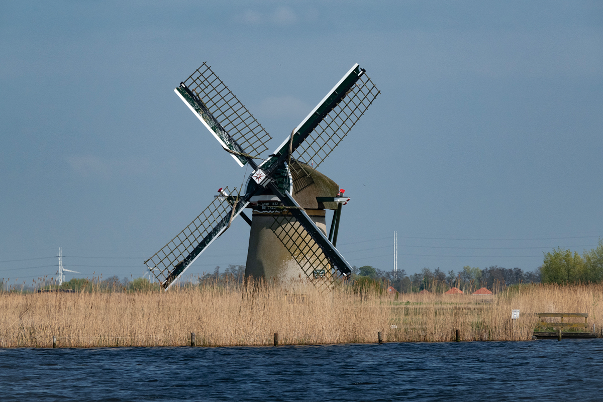 Windmill cruise on the Kagerplassen (1 hour)