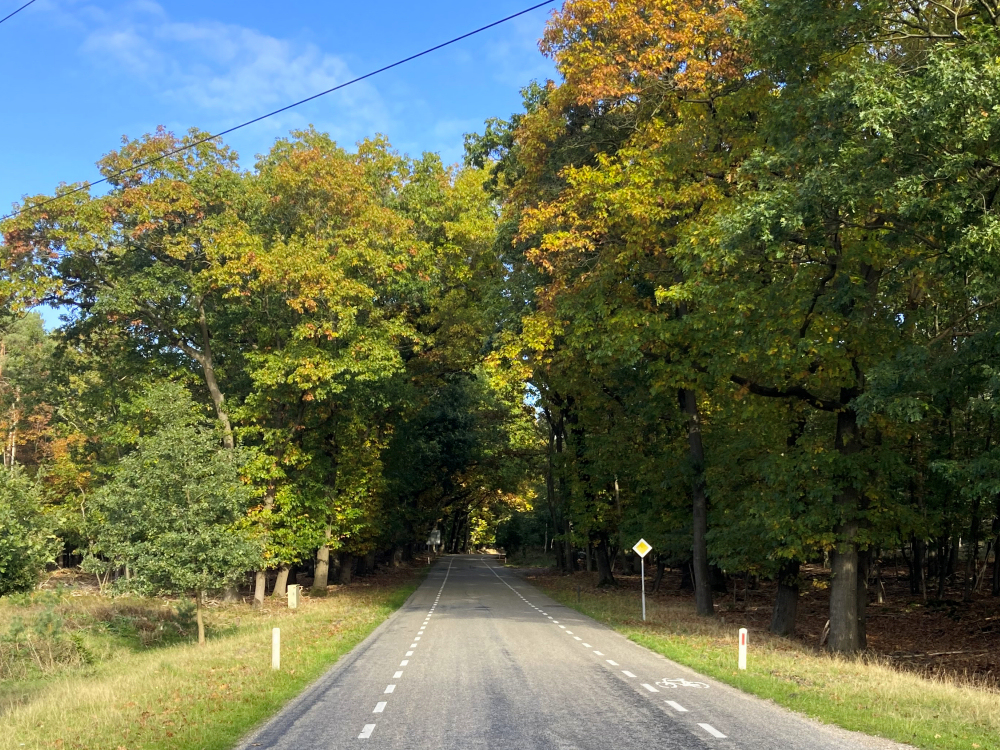 Navigame autorally - Volg het kompas, ontdek en beleef!